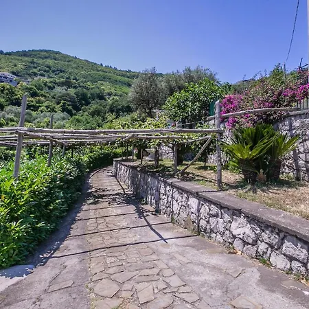 לינה וארוחת בוקר Costanza Sorrento סן אנג'לו