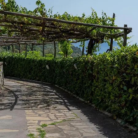 Costanza Sorrento לינה וארוחת בוקר סן אנג'לו