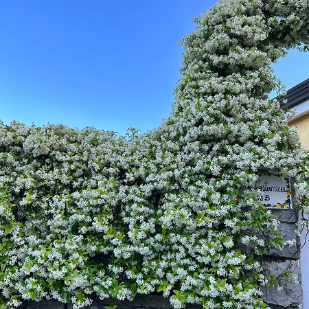 לינה וארוחת בוקר Costanza Sorrento