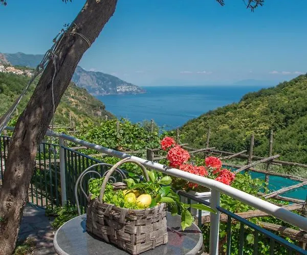 Costanza Sorrento Bed and Breakfast Sant'Agnello