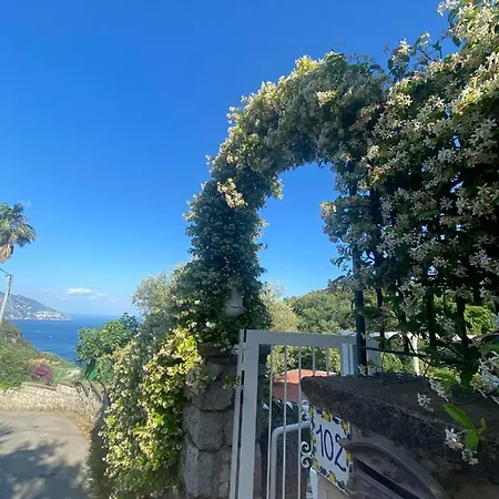 Costanza Sorrento Bed & Breakfast
