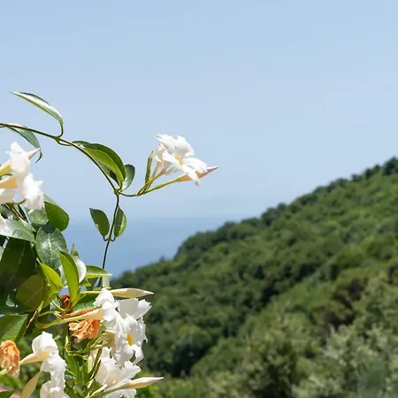 Costanza Sorrento 4* Сант'Анджелло
