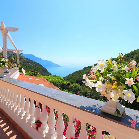 Costanza Sorrento 4* Sant'Agnello